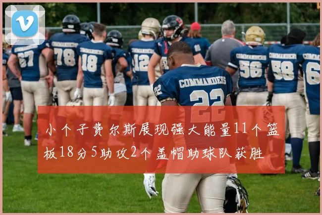 小个子费尔斯展现强大能量11个篮板18分5助攻2个盖帽助球队获胜
